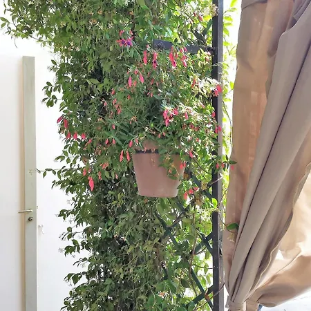Brand New In The Center Otel Cannes
